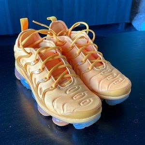 Nike Air vapor max plus shoes